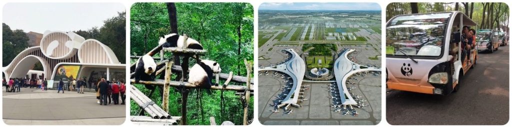 How to get from Chengdu Tianfu Airport to Panda Research Base