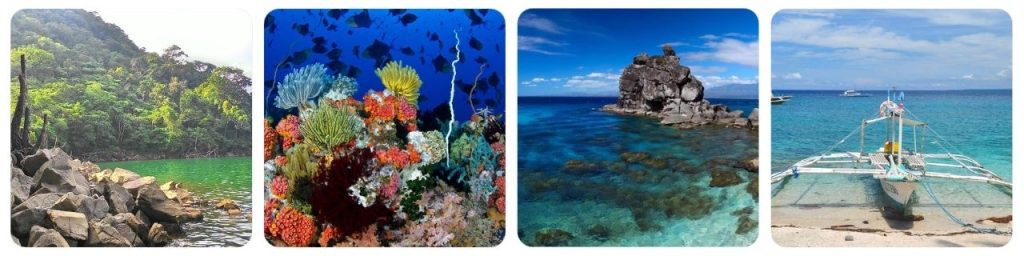 How to get from Dumaguete to Apo Island