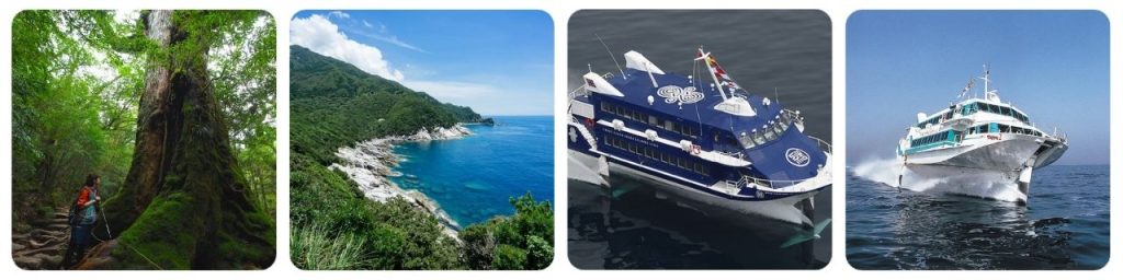 How to get from Fukuoka to Yakushima