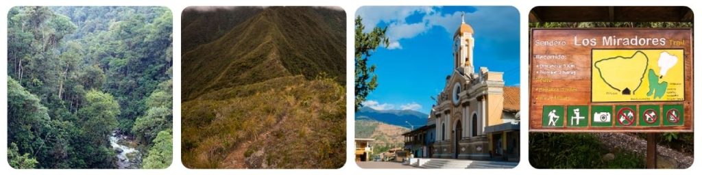 How to get from Loja to Podocarpus National Park